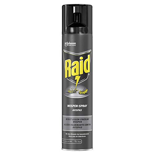 Raid ® Spray Insecticida - Aerosol para Avispas y Avispones, Eficacia inmediata, 300ml