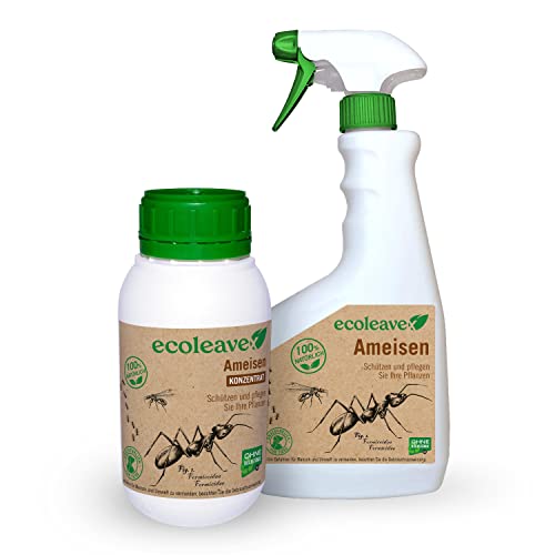 Ecoleavex Protege y cuida tus plantas, ecologicamente repelente, contra hormigas y hormigas voladoras 100% natural y sin residuos (concentrado 20 rellenos + pulverizador)