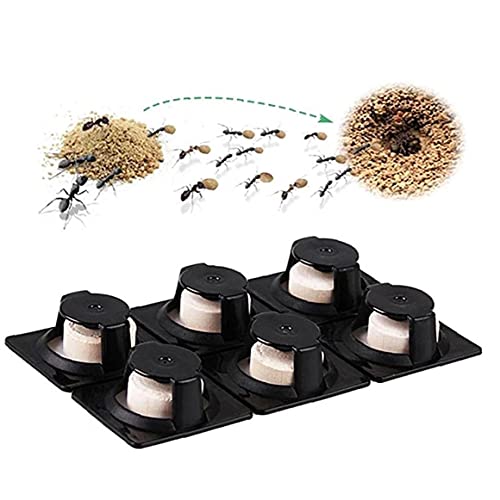 6 Unids Asesino Cebo Hormigas Hormigas Repelente Repelente Trampa Control Plagas Efectivo Asesinato Termite Hormigas Rojas Destruir Cebos Hormigas