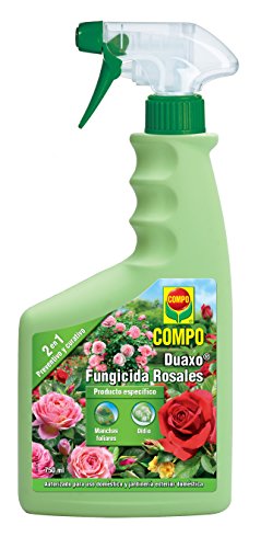 COMPO Duaxo Fungicida Rosales, Spray 2 en 1 preventivo y curativo, Apto para jardinería exterior doméstica, 750 ml