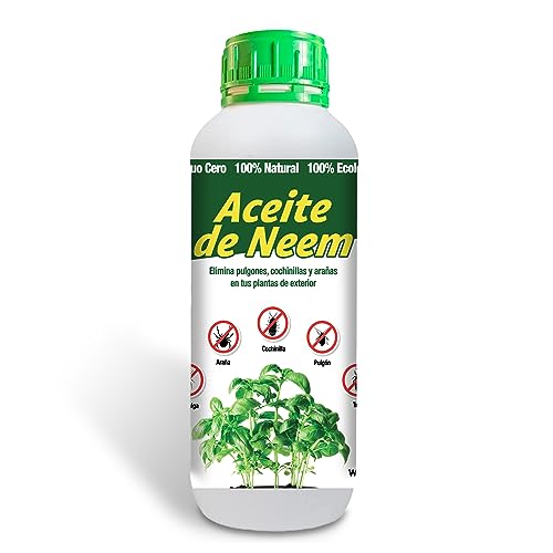 Aceite de Neem, Elimina Insectos y Hongos en tus...