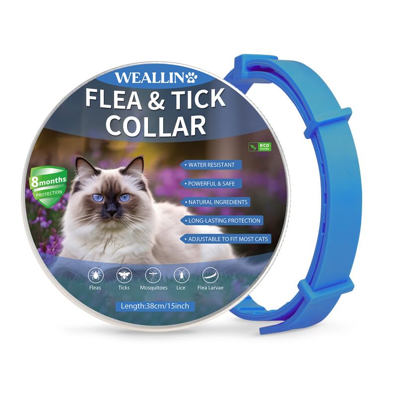 WEALLIN Collar Antipulgas y Garrapatas para Gatos, Collar Antipulgas Gatos, Collar antipulgas para Gatos con 8 Meses de Protección Ajustable e Impermeable, Apto para Todos los Gatos, Azul(1 PC)