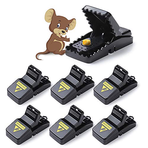 Diealles Shine Rat Trap, Juego de 6 Trampa para Ratones con Cebo, Reutilizable Trampa para Ratas y Ratones