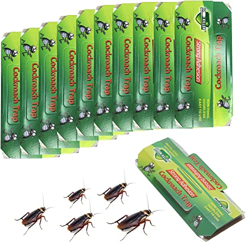 Anguxer Trampas cucarachas, 10 PCS Trampa cucarachas + 10 PCS cebos cucarachas, eficaz contra cucarachas